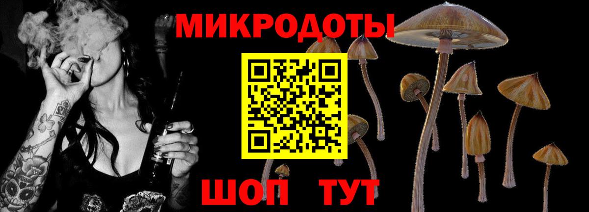 наркотики  Псилоцибиновые грибы мицелий  Вход с VPN  Фролово 